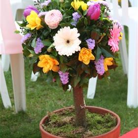 fwthumbwedding 33.jpg